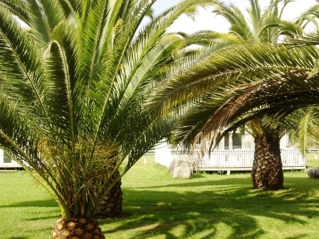 Hotel Le Banana's 2*